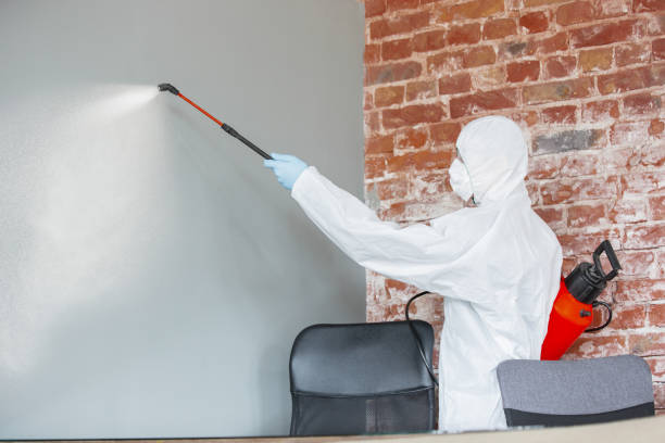 Best Air Quality Testing for Mold Spores  in Austell, GA