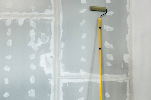 Best Mold Removal for HVAC Installations  in Austell, GA