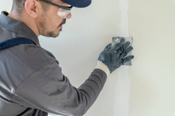 Best Commercial Mold Inspection  in Austell, GA
