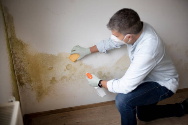Best Residential Mold Inspection & Testing  in Austell, GA