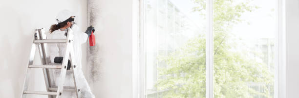 Mold Removal for HVAC Installations in Austell, GA