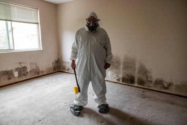 Best Forensic Mold Investigation  in Austell, GA