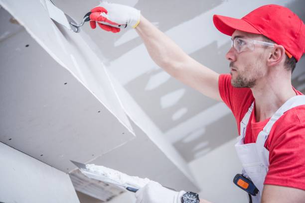 Best Mold Damage Restoration  in Austell, GA